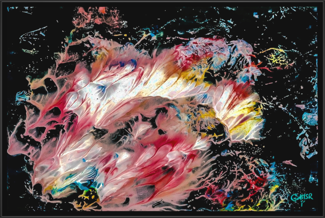 Main image Danse des coraux