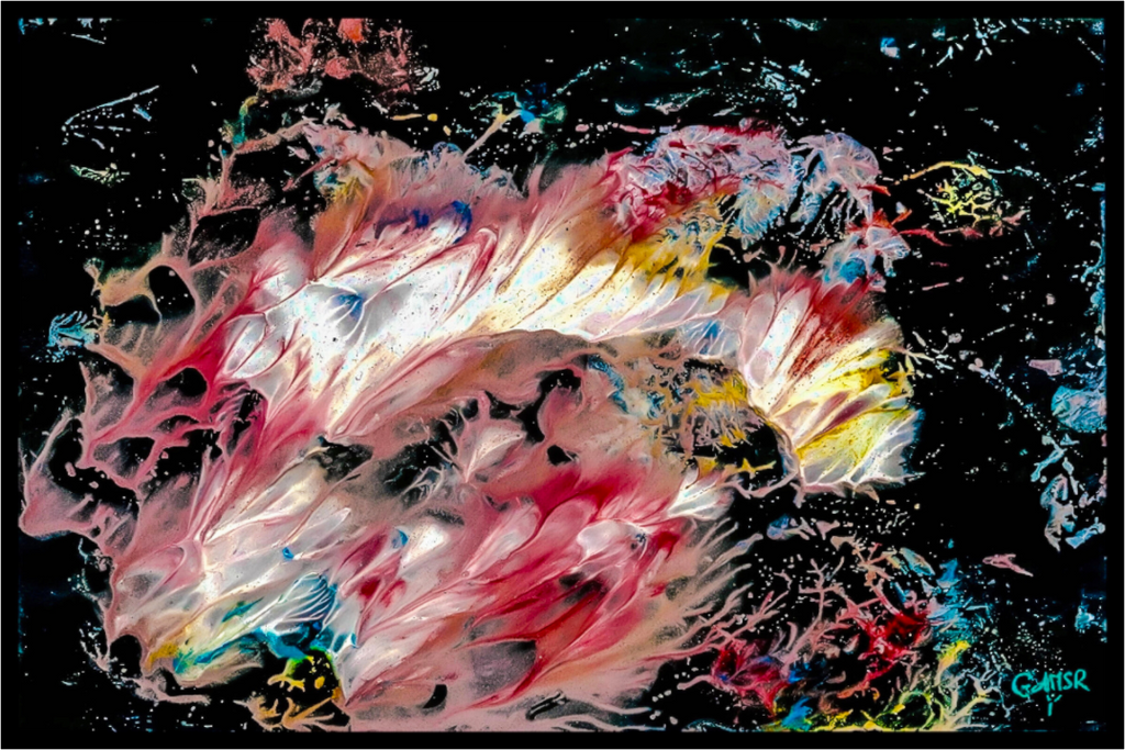 Main image La danse des coraux